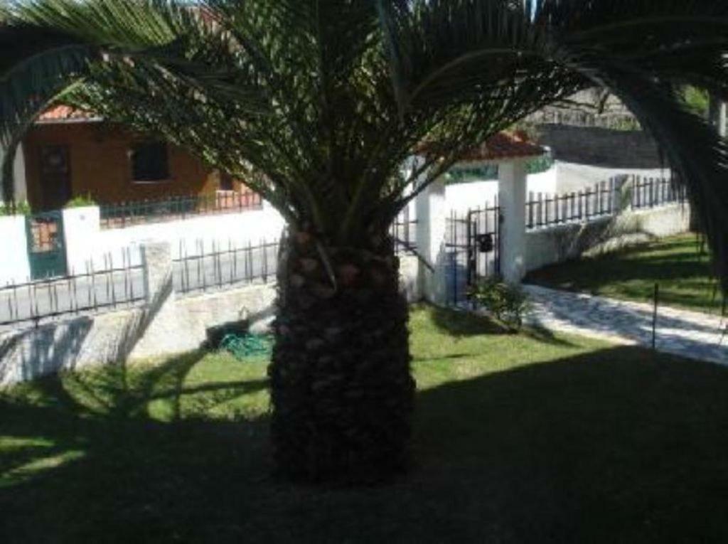 Vivenda Atlantico Hotel Vila Praia de Ancora Exterior photo